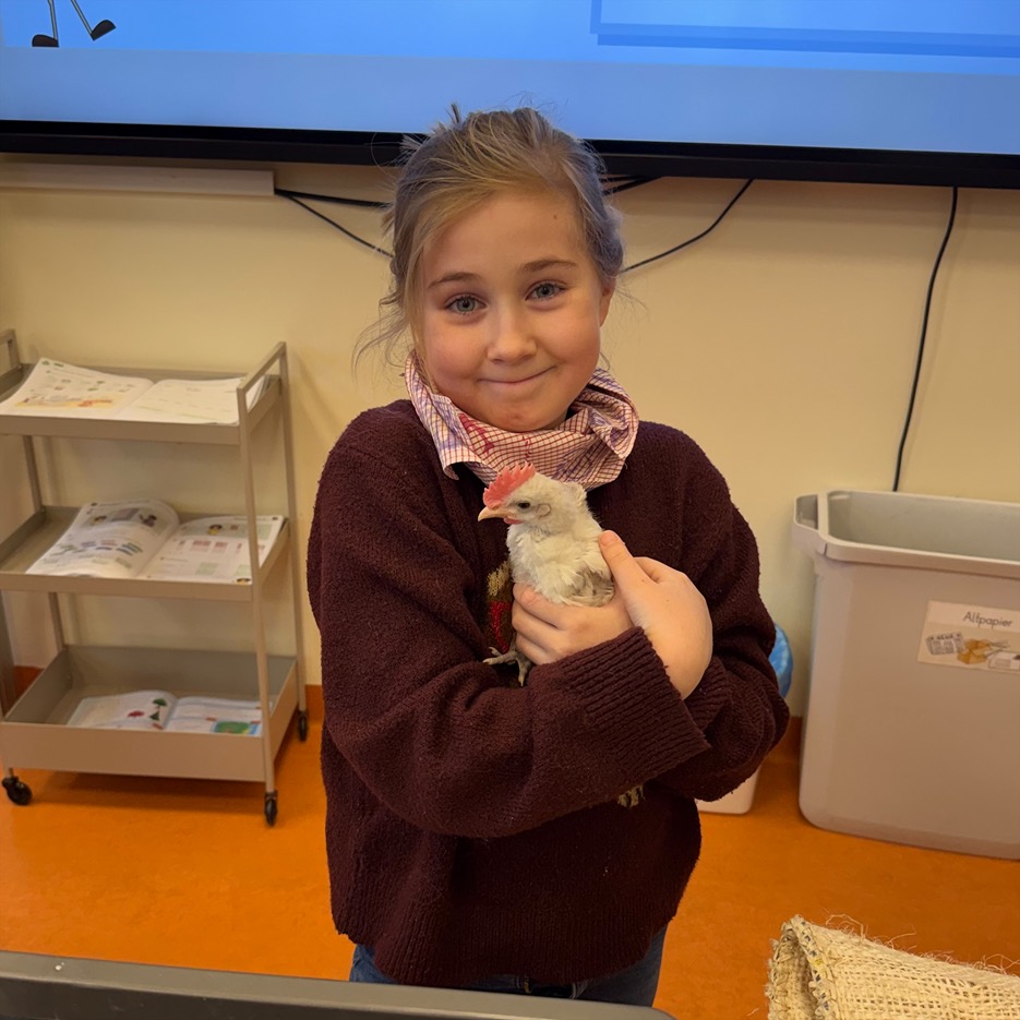 processed 2B4D301B EA86 43CD 9B93 9EF4FF3DA00B