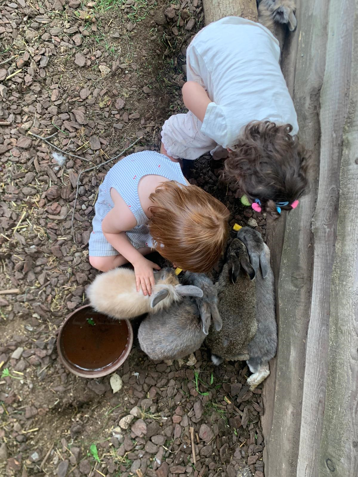 WhatsApp Image 2026 09 10 at 11.52.58 1